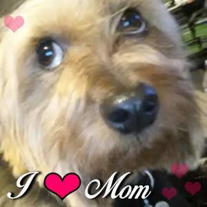 Meet your Posher, Bev